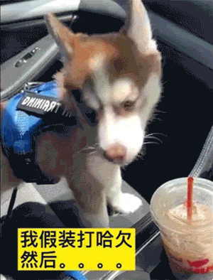 006.gif