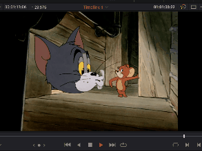 TOM1.gif