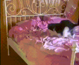 009.gif