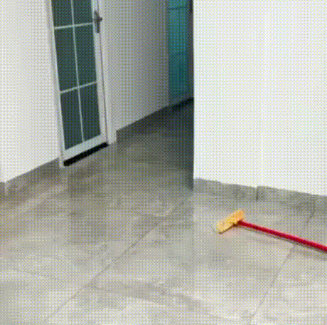 008.gif