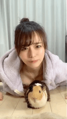 008.gif