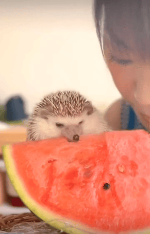 002.gif