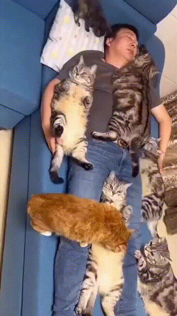 005.gif