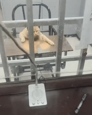 006b.gif