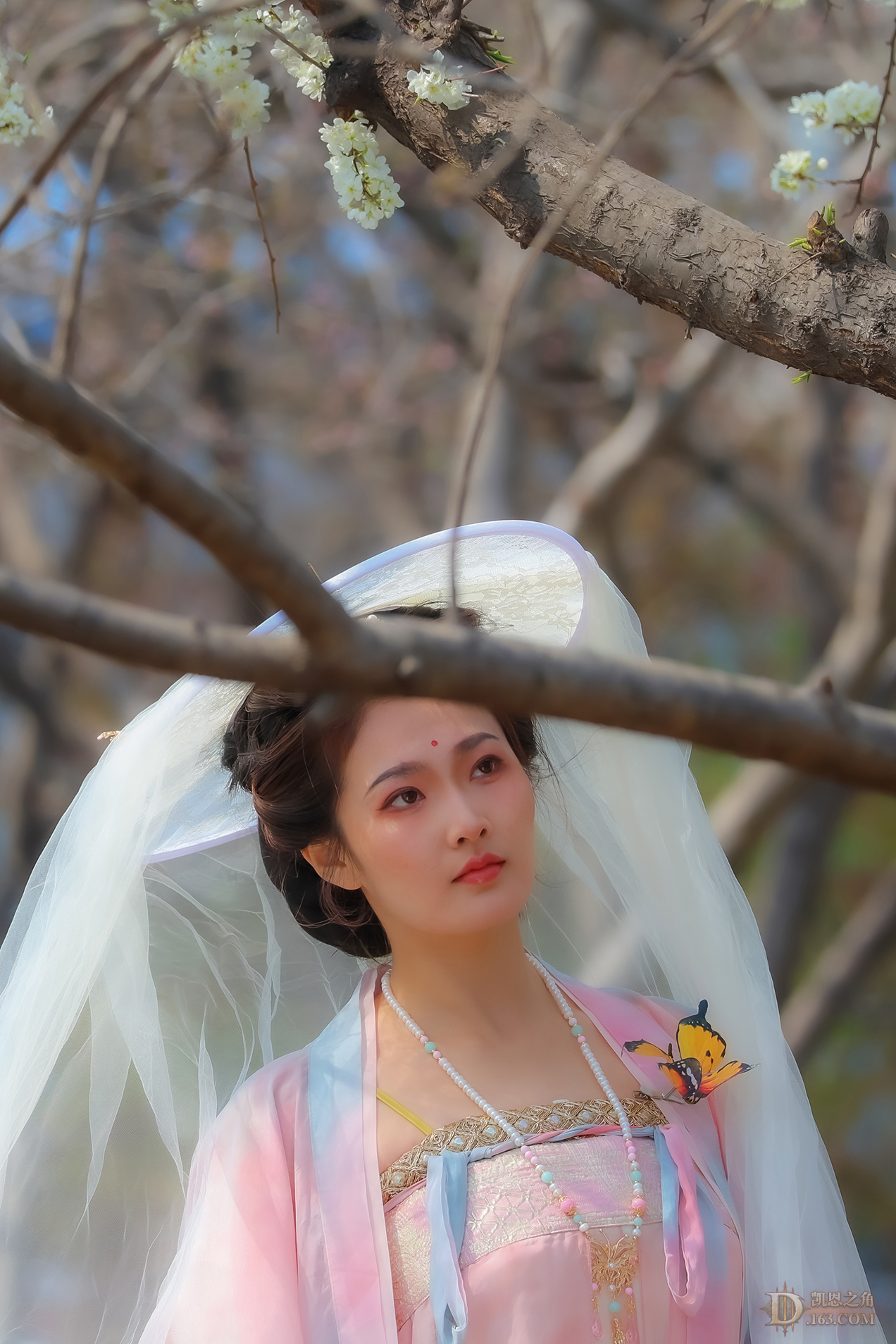 8G6A0413a .jpg