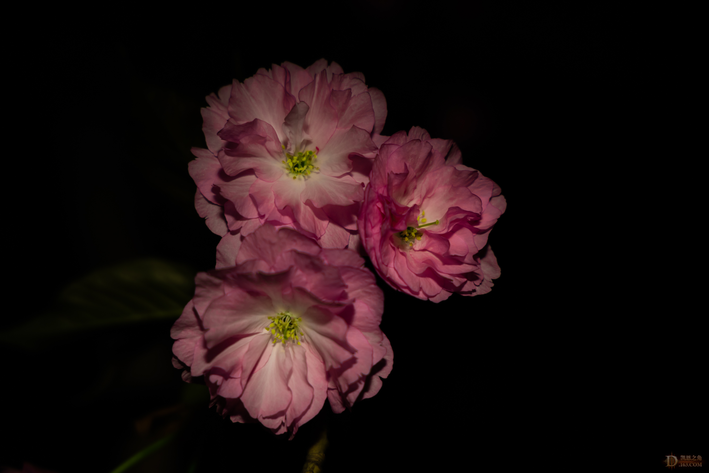 8G6A0758.jpg