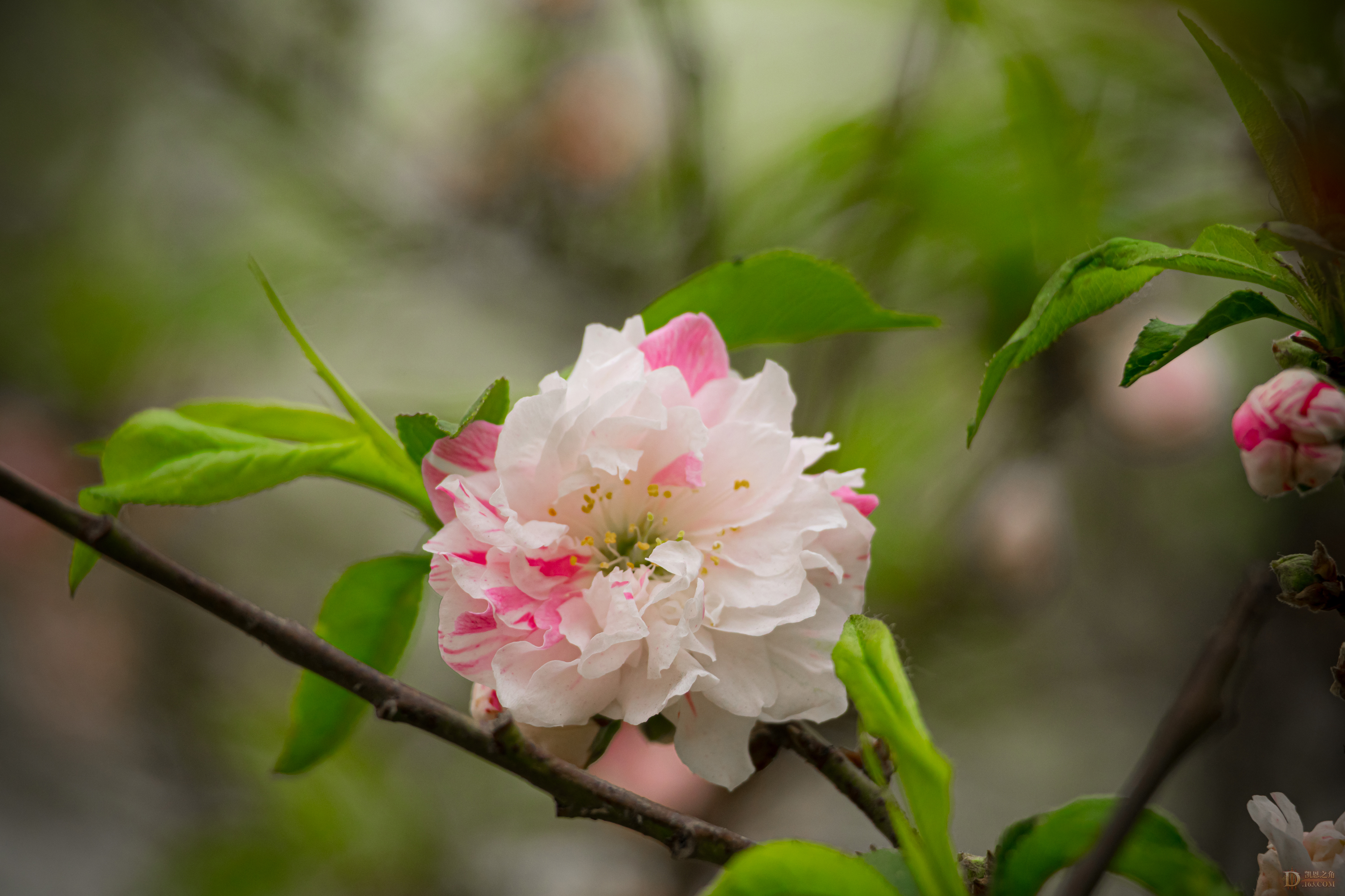8G6A0902.jpg