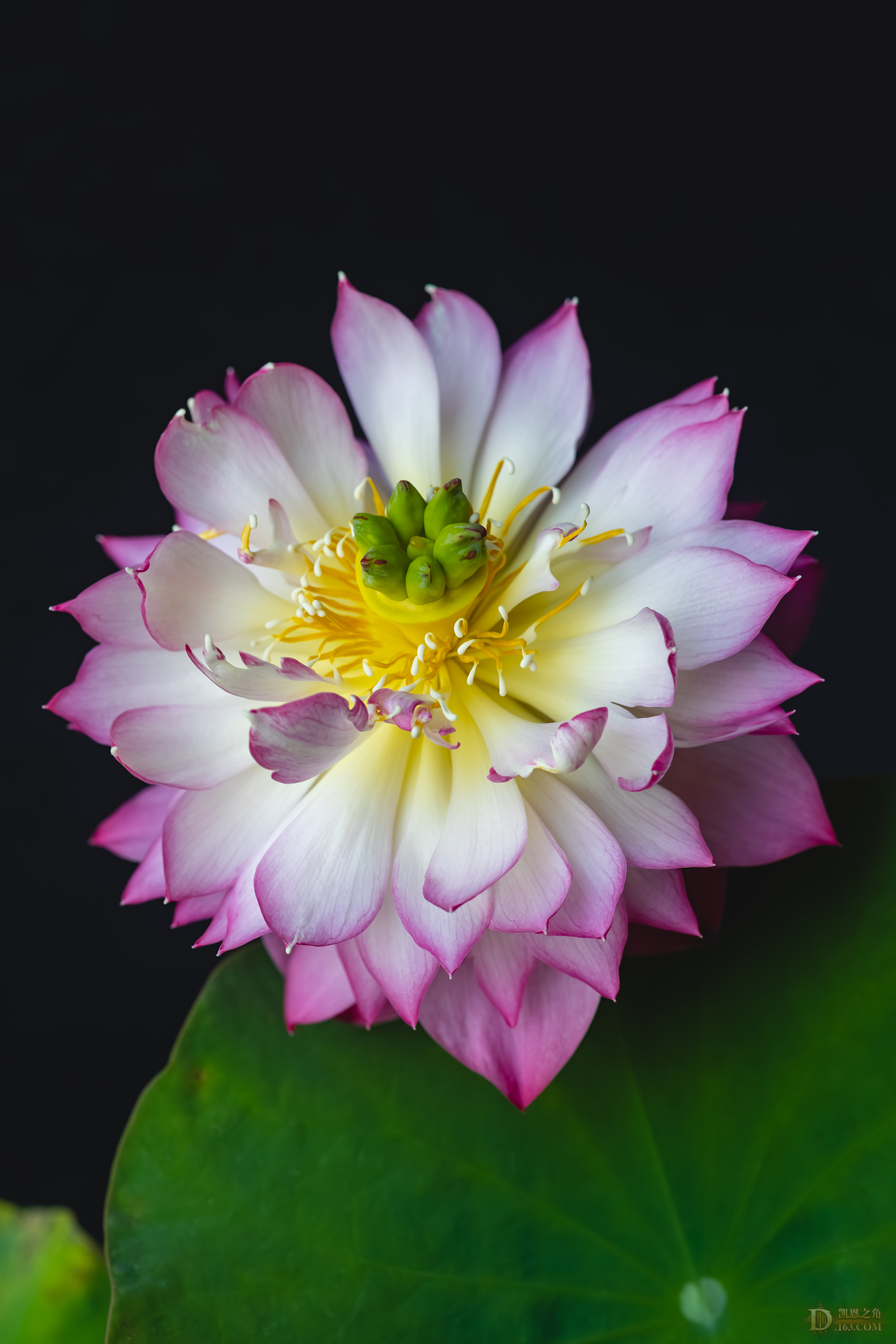 8G6A1720-ǿ-.jpg