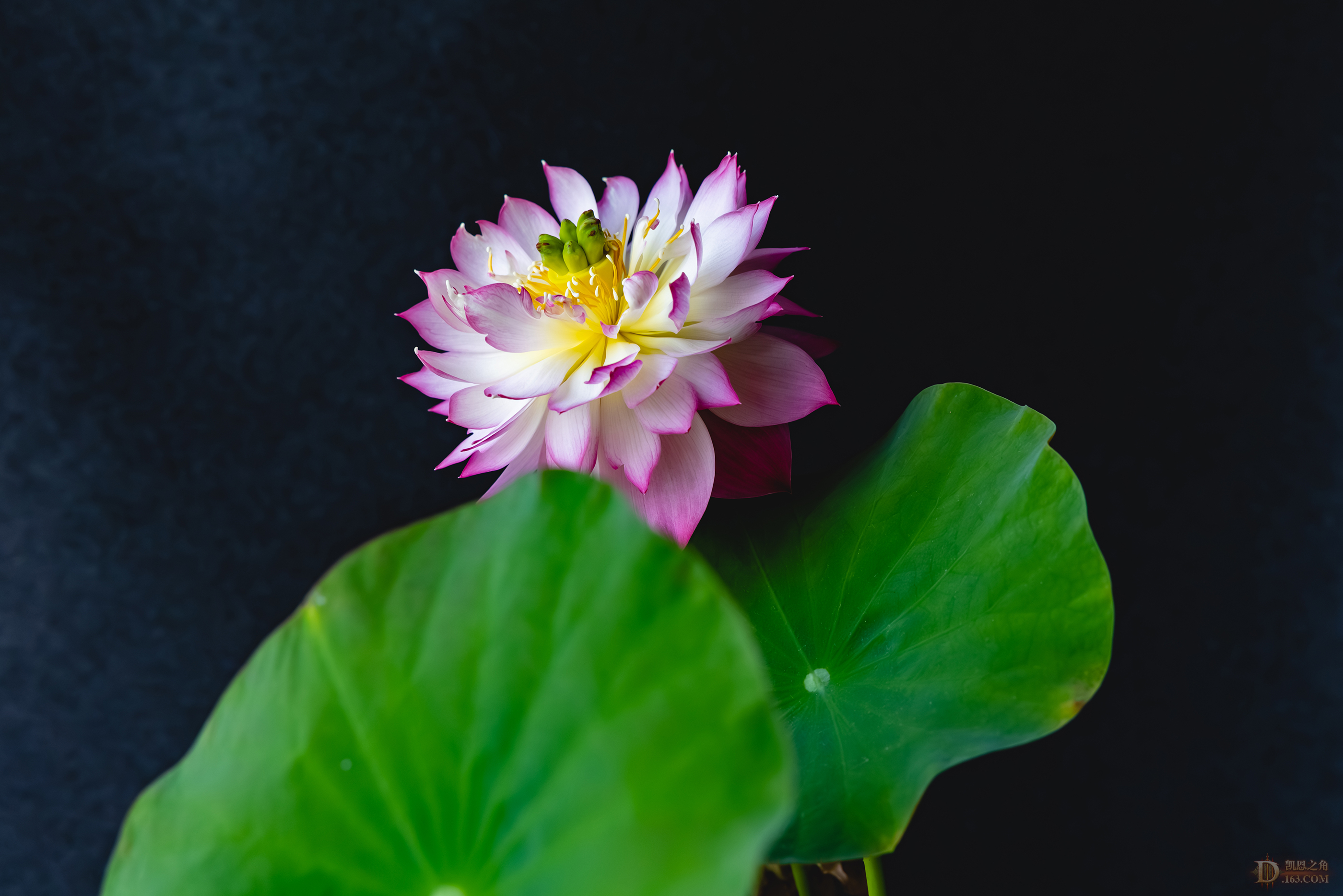 8G6A1723-ǿ-.jpg