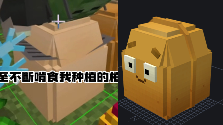 .jpg