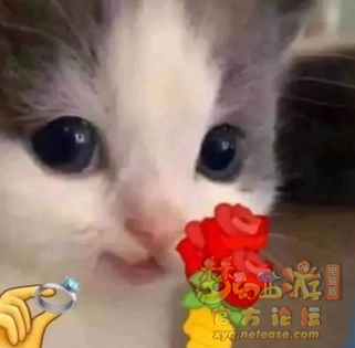QQͼ20220502215401.png