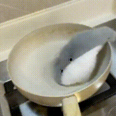 665741470084b.gif