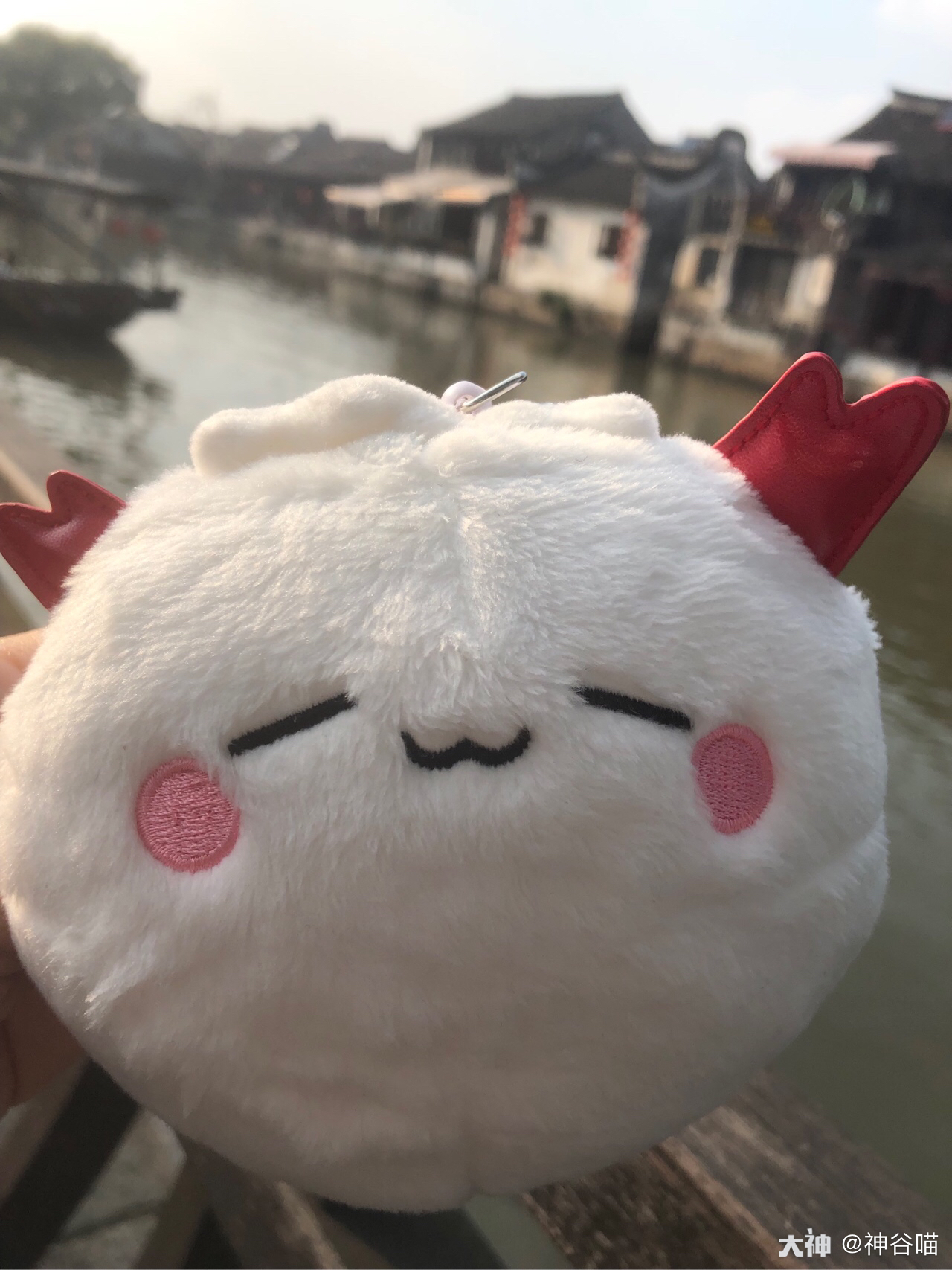 带崽赏味##阴阳师周边##周边种草节# 出门必带小雪球之杭州之旅,喝