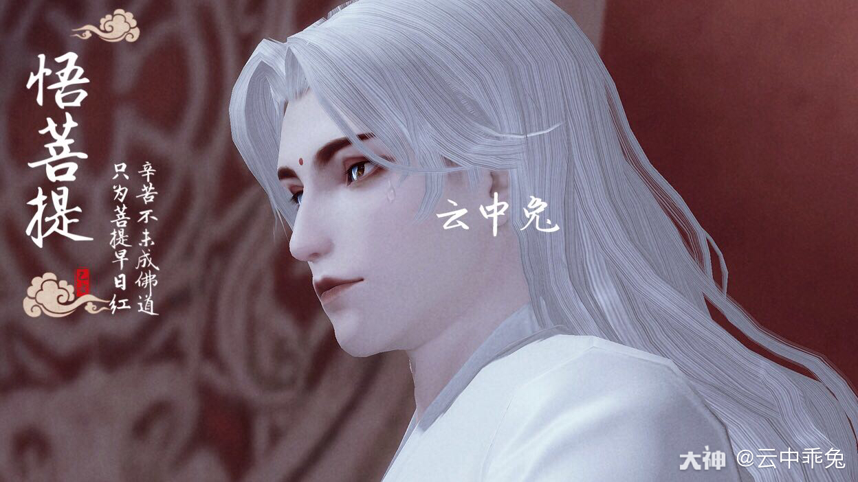 数据名:「悟菩提」 手捻菩提似念经, 目中无物两耳空,  辛苦不为成