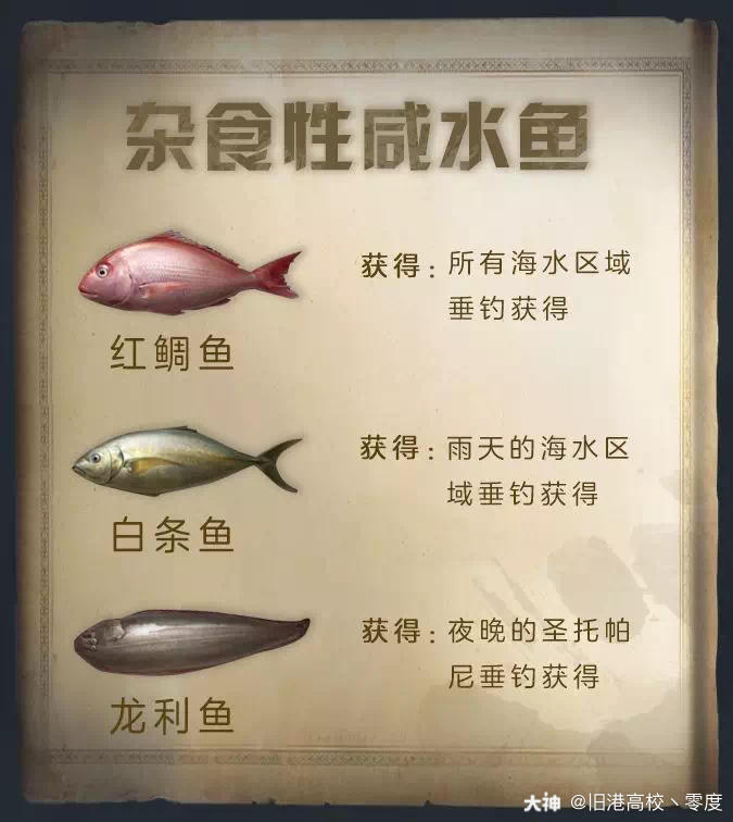 到现在没钓到过一条雨鱼