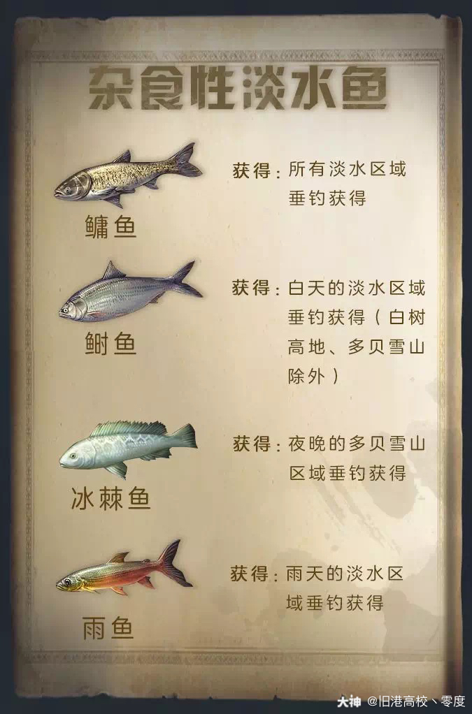 到现在没钓到过一条雨鱼