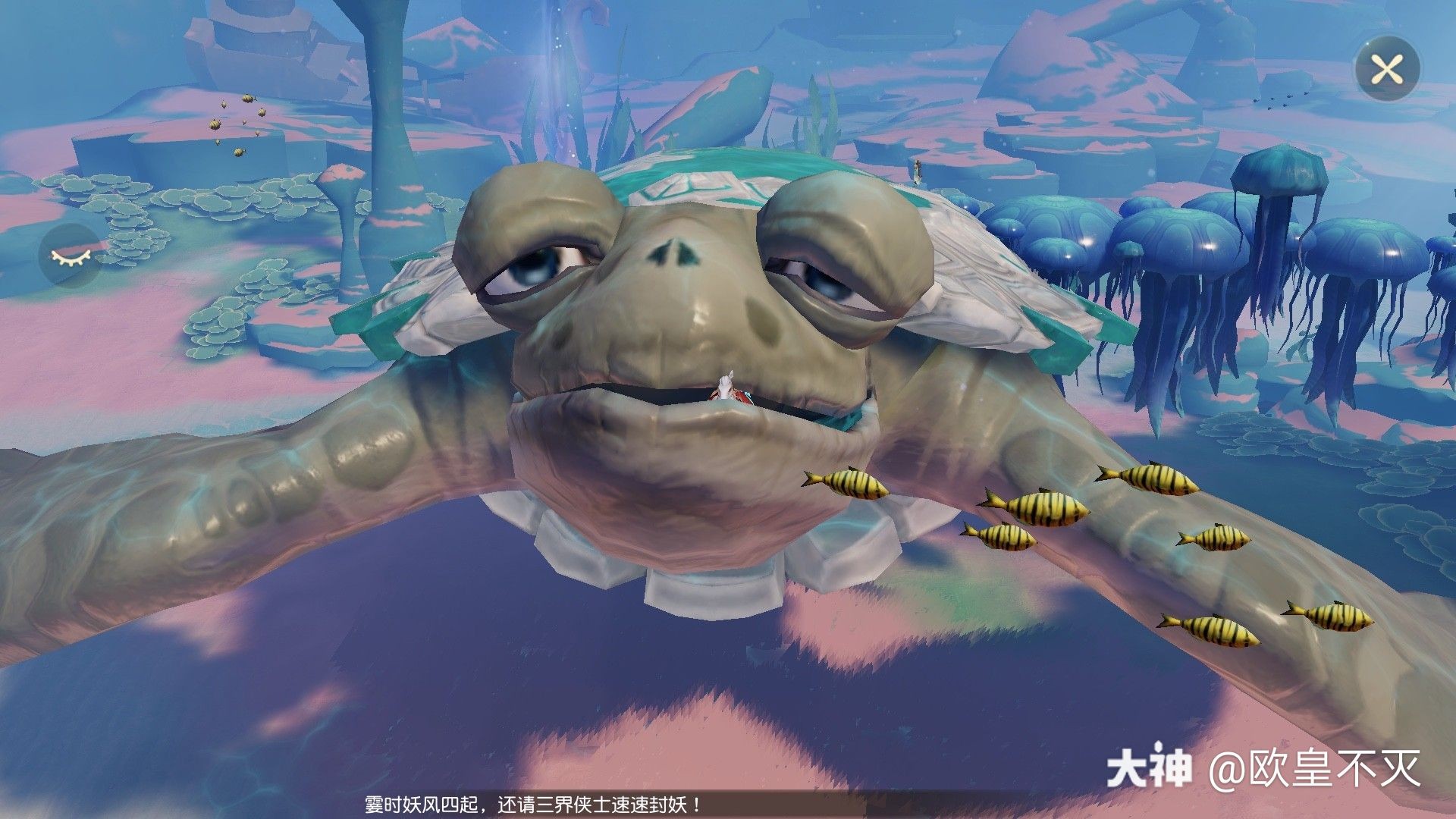 我更新了个人相册