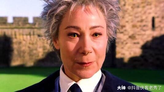 除了教飞行课外,霍琦夫人还担任霍格沃茨魁地奇比赛的裁判,除了特殊