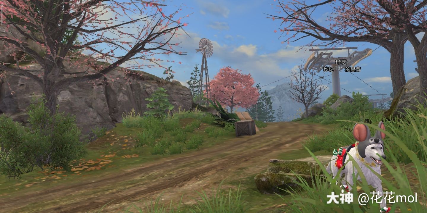 随处发现新风景@网易明日之后