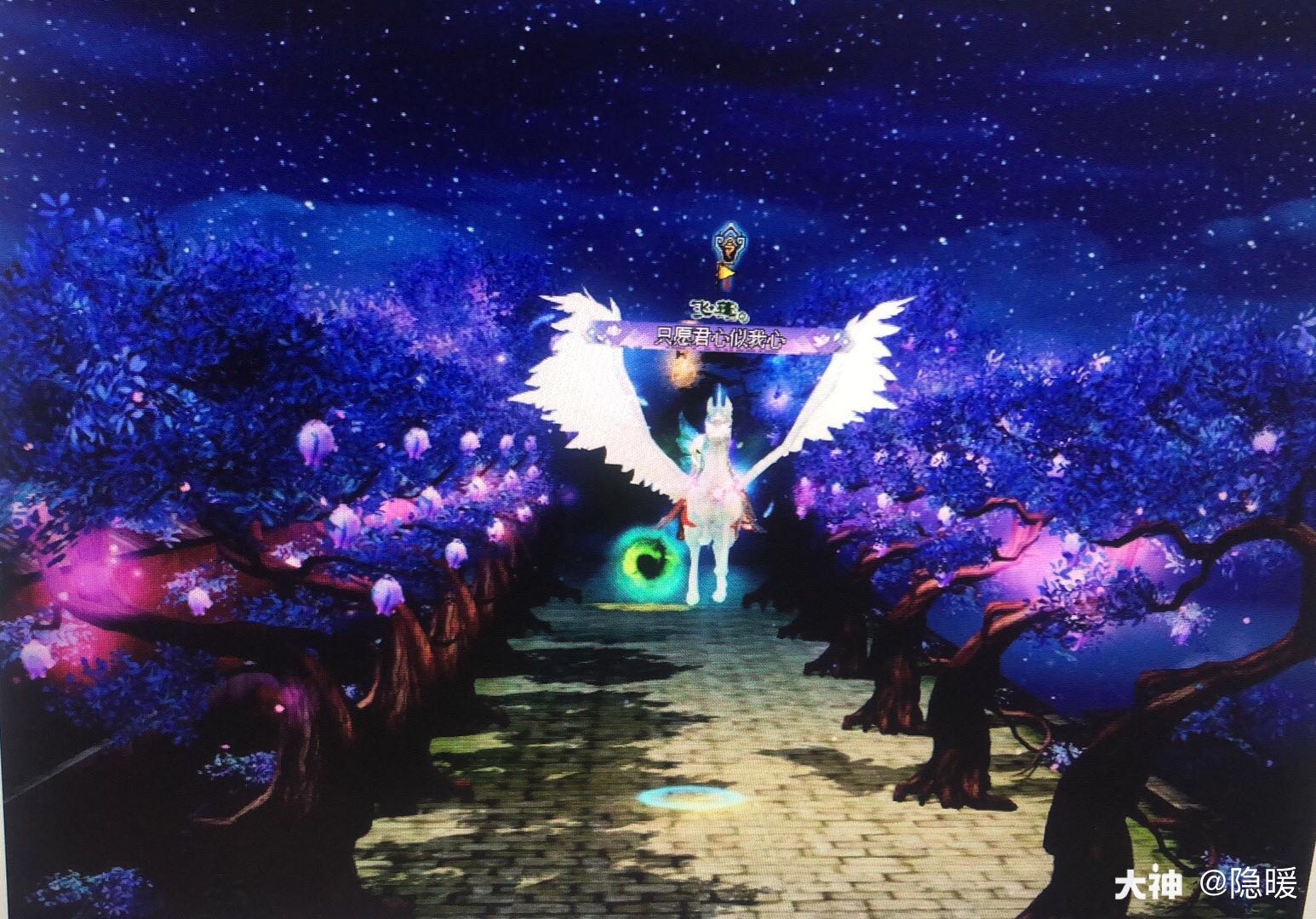 欢迎来我家拍照哦,夜间模式美腻979797_来自网易大神新倩女幽魂