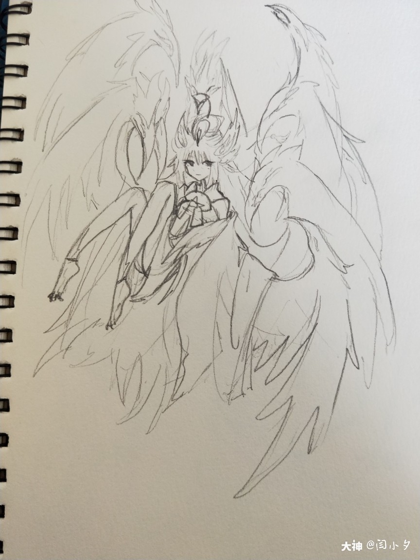 我超喜欢九凤的大翅膀(鸟头)所以画了一个九凤的草稿( )o彡