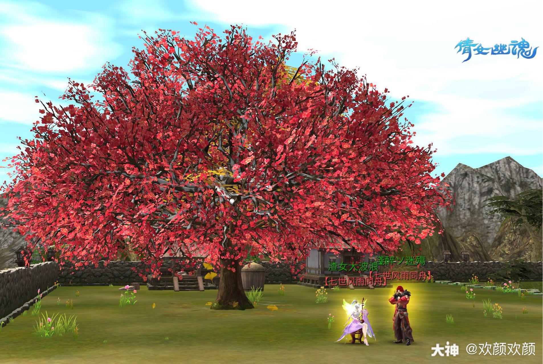 别人都有的许愿树,我也有啦