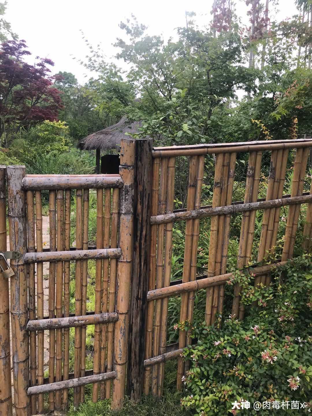 乱花渐欲迷人眼,小扣柴扉久不开#17