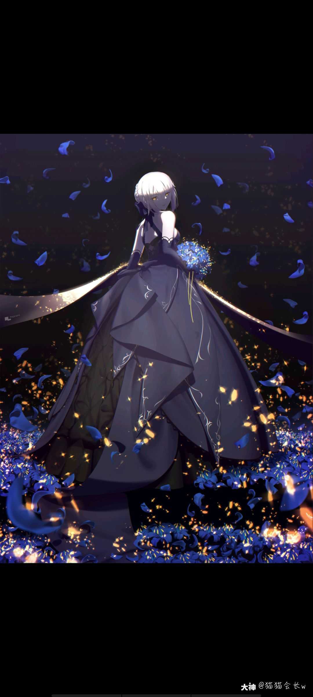 动漫壁纸 fate系列最近喜欢上了黑呆_大神