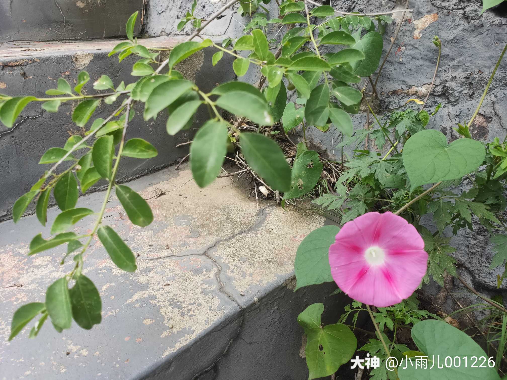 雨浇一顿 我又不是花 不需要雨水滋润