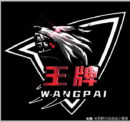 荒野行动巅峰战队人气榜.