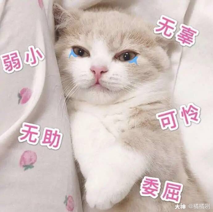 ios拼卡二缺一～有的dd我昂