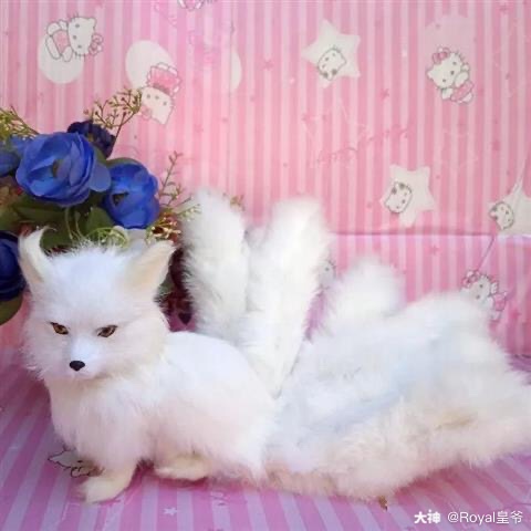 这要是一直真的九尾狐,那该有多惊艳