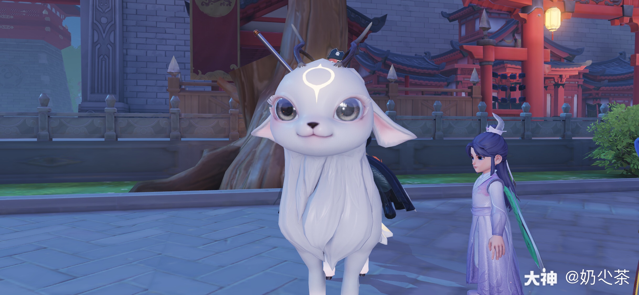 可爱的四不相坐骑眼睛里.