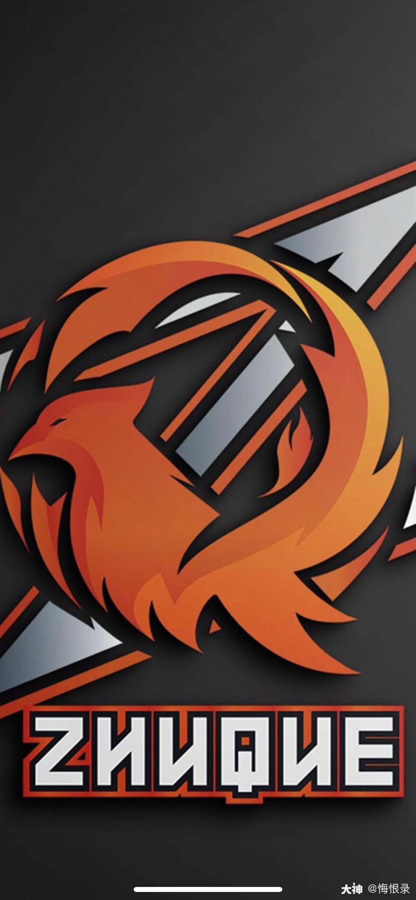 zq# 战队,恭喜,冠.