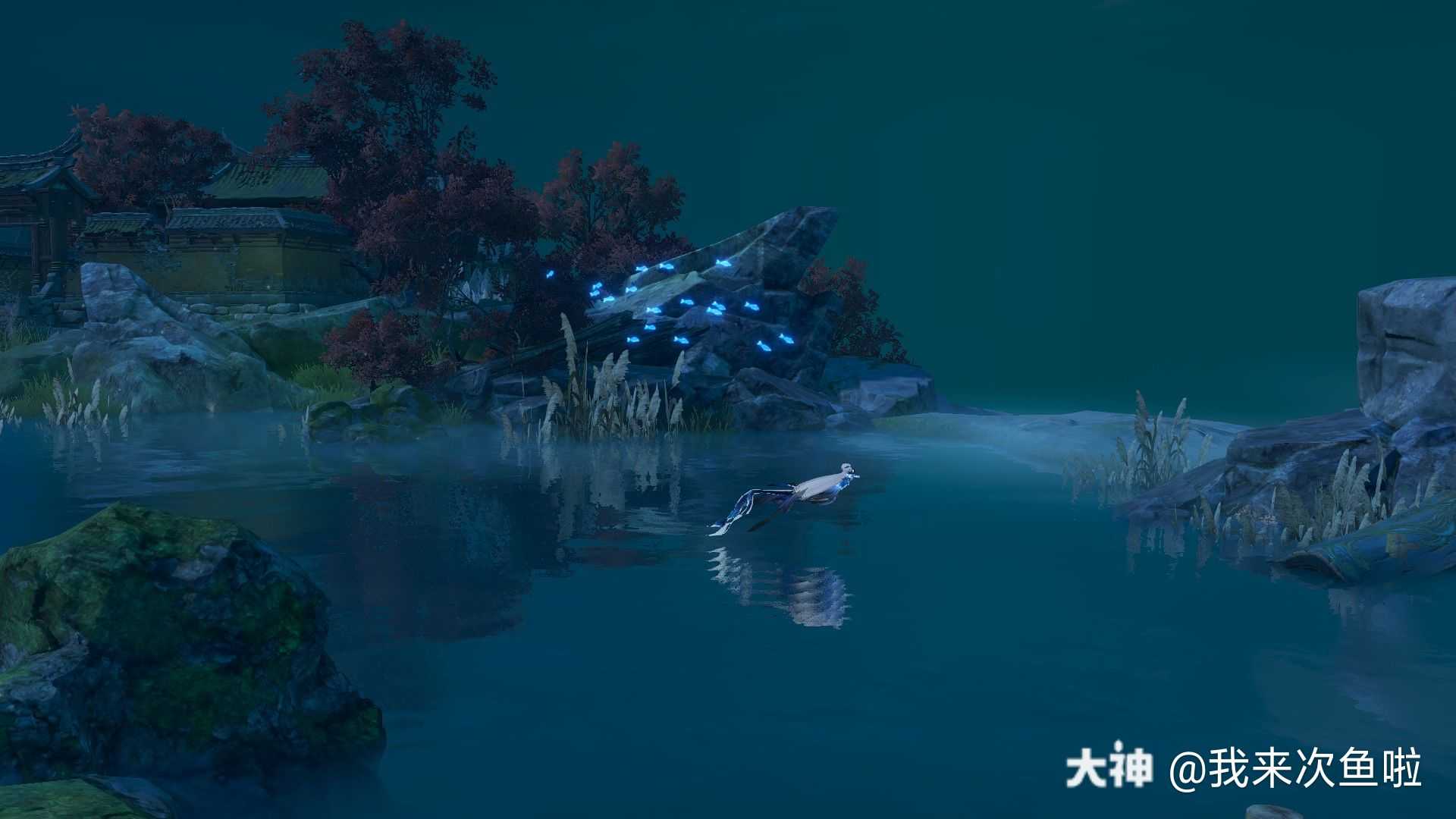 兰若寺的水面,成功让我背.