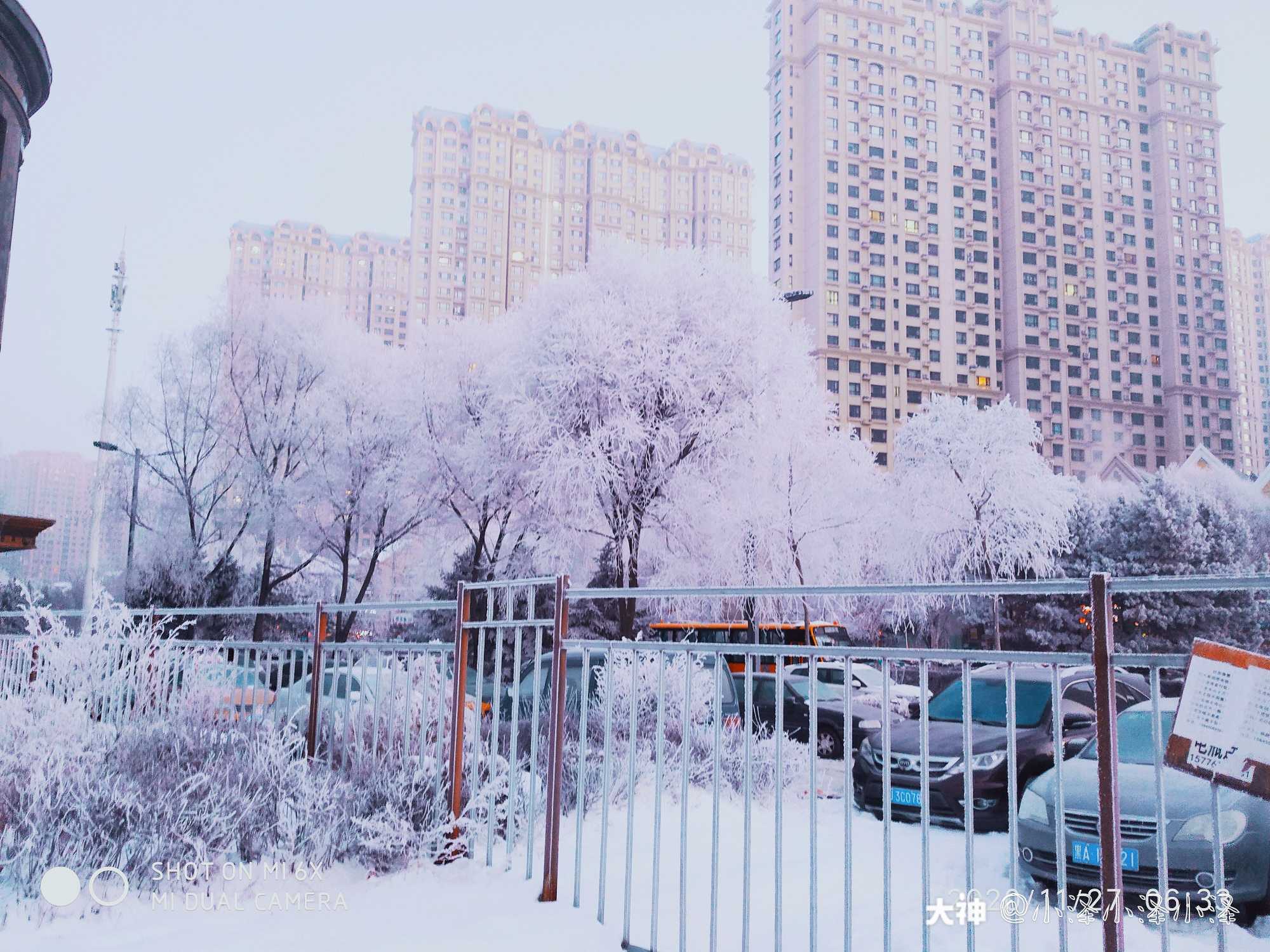 哈尔滨雪景 真实照片图片