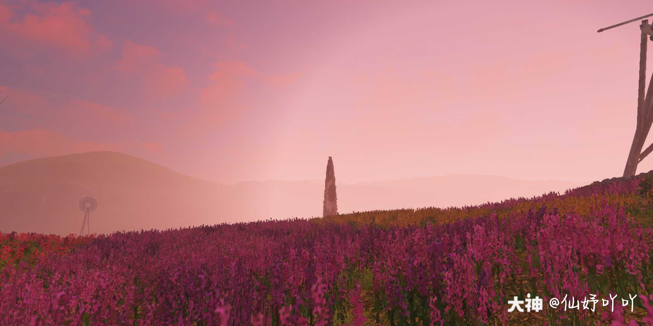 麦田好美呀,有没有一起拍照的小伙伴明日之后最美风景_明日之后