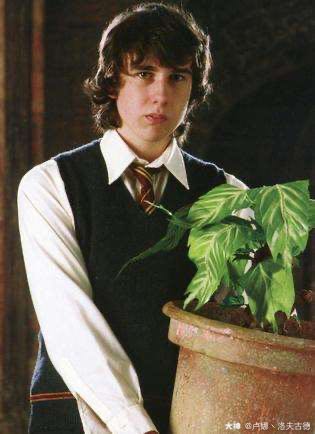 弗雷德一肚子坏水,纳威只会hhhh,为什么_来自网易大神哈利波特魔法