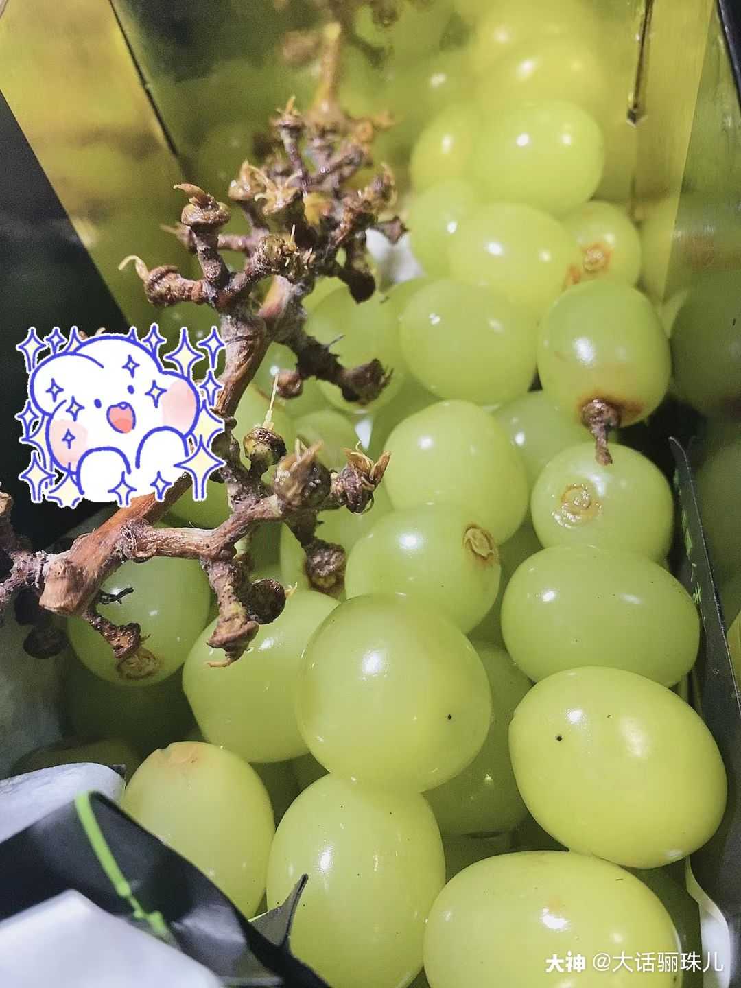 这个葡萄真的超好吃! _来自网易大神大话西游手游圈子_大话骊珠儿