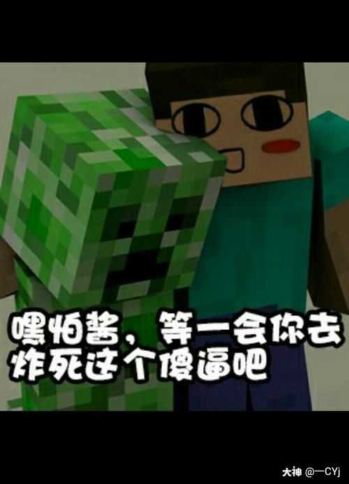 我的世界#mc表情包大赛#恶搞.