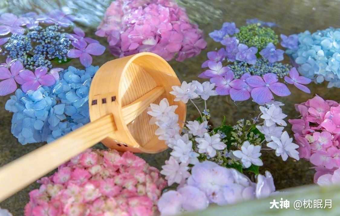 日式神社的花手水实在是太好看了 水里泡着紫阳花 绣球花 在庄园里也做了个花手水 来自大神逆水寒圈子 枕眠月