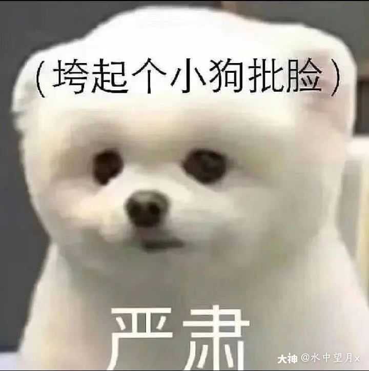 如果有三级弓彤素有至策属性 吕布大营是选择一骑击势还是人中一骑 请大佬指点 来自大神率土之滨圈子 水中望月x