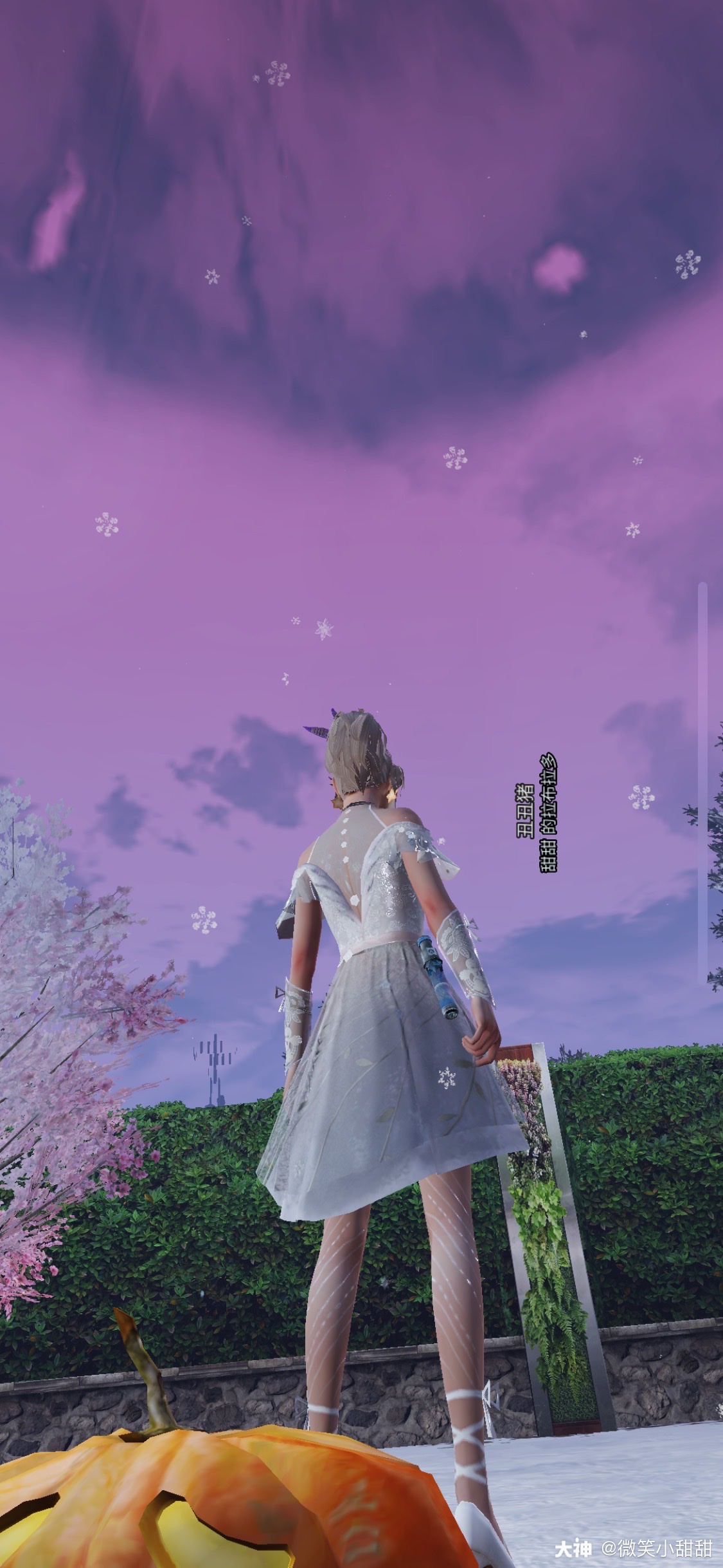 冬天真的好美啊7615_来自网易大神明日之后圈子_微笑小甜甜