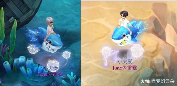 上号领鲨鱼咯~ #梦幻西游##深海狂鲨