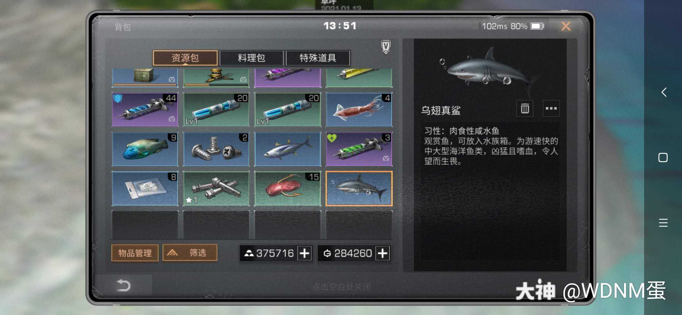 鲨鱼不是有手就行?_来自网易大神明日之后圈子_wdnm蛋