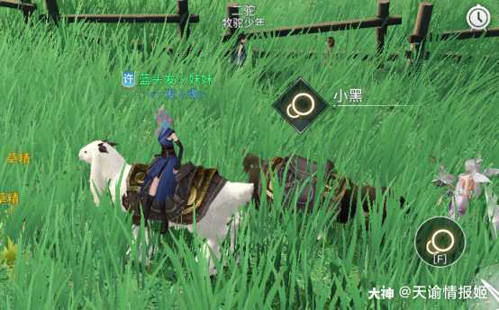 天谕手游冒险攻略——狂暴驼兽