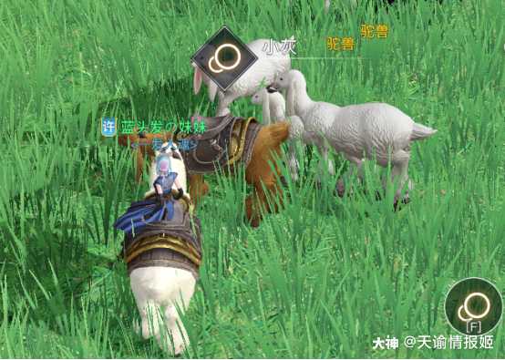 天谕手游冒险攻略——狂暴驼兽