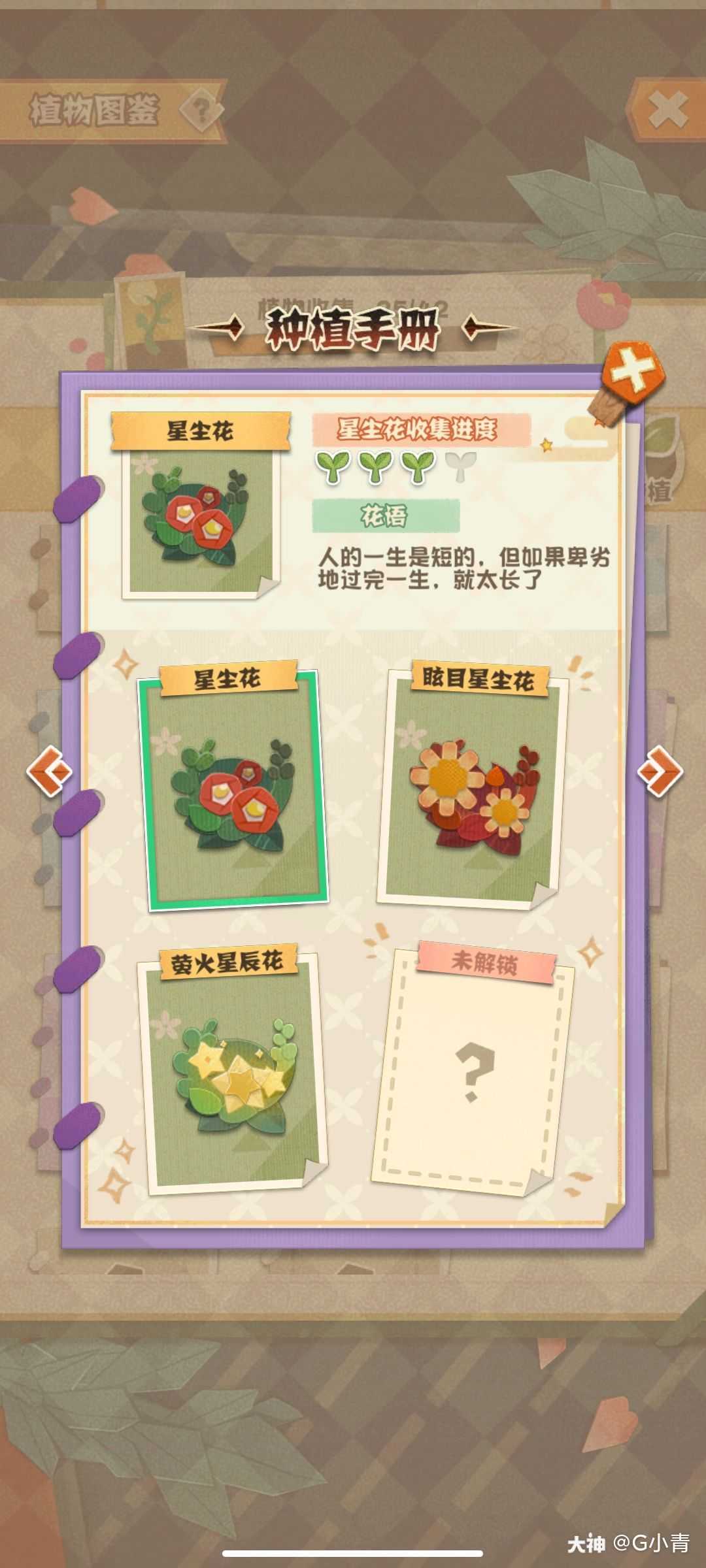 这个星辰花我至少种了几十个了 可它就是不出极光星辰花 我想问一下 是只有我这样还 来自网易大神阴阳师 妖怪屋圈子 G小青