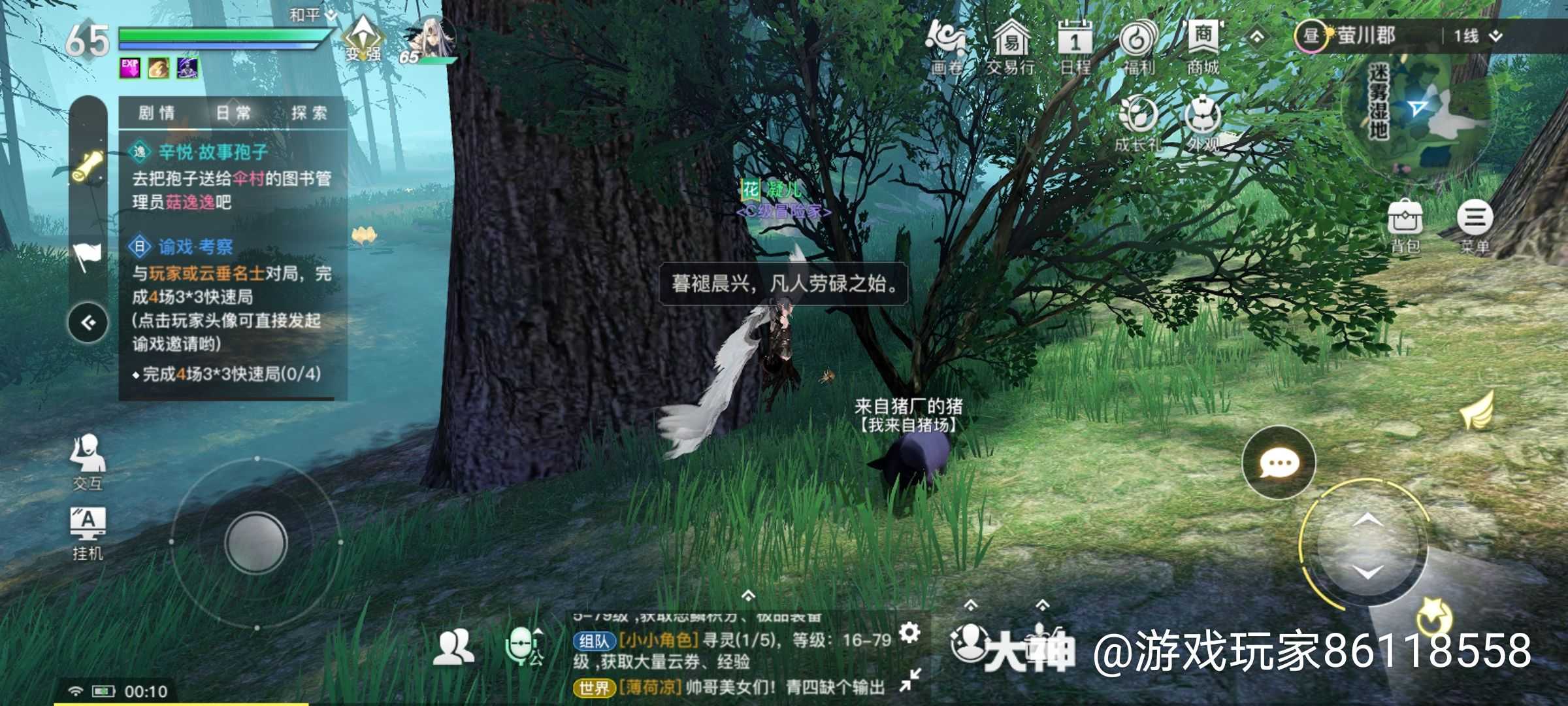 找最高贵的猪 在萤川郡1025 1005 一颗大树的后面_来自网易大神天谕