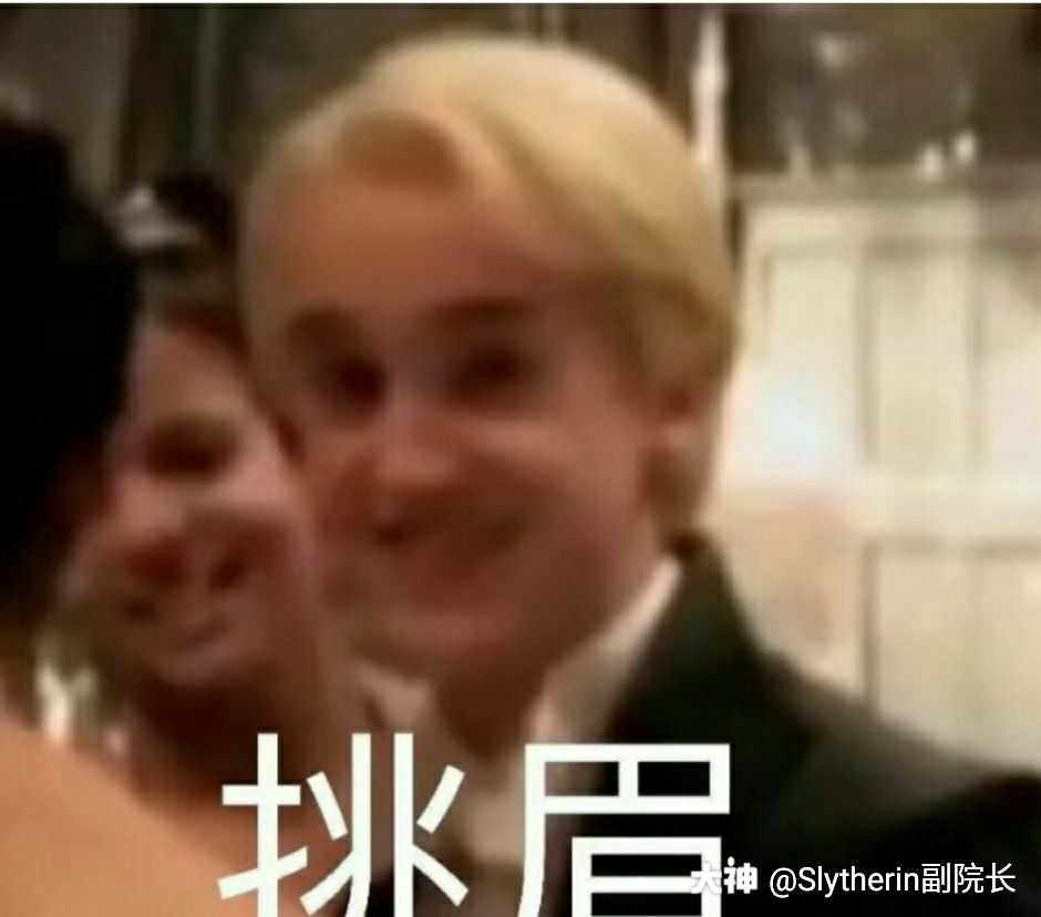 我们是霍格沃茨之光!不服就来参加学院战pk一下!